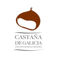 IXP Castaña de Galicia