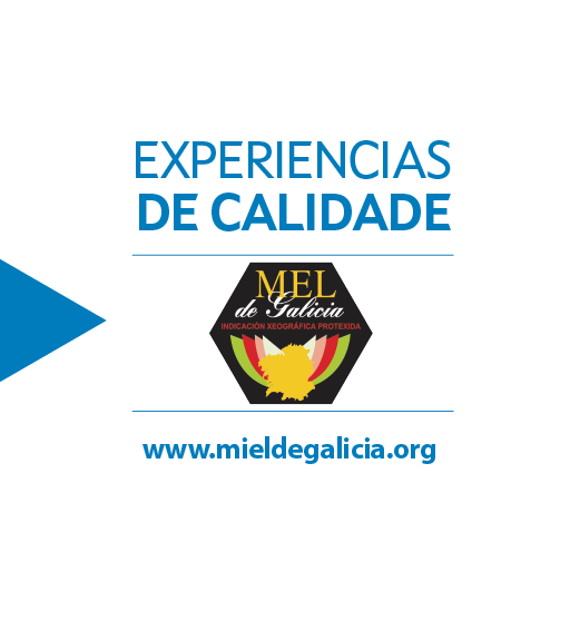 IXP Mel de Galicia