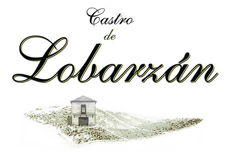 Castro de Lobarzán