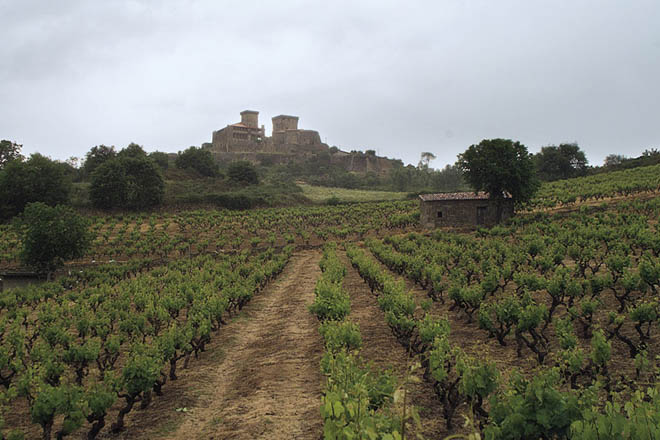 ruta del vino del Monterrei