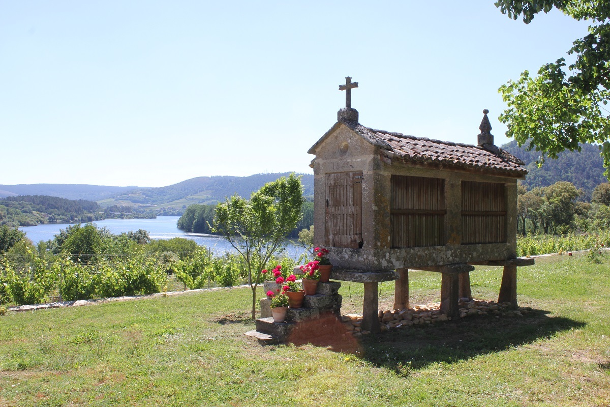 ruta do viño do Ribeiro