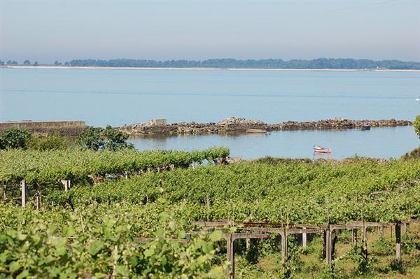 enoturismo Rías Baixas