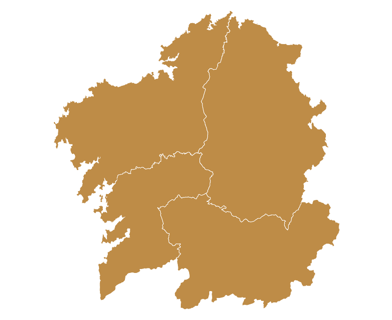IXP Castaña de Galicia