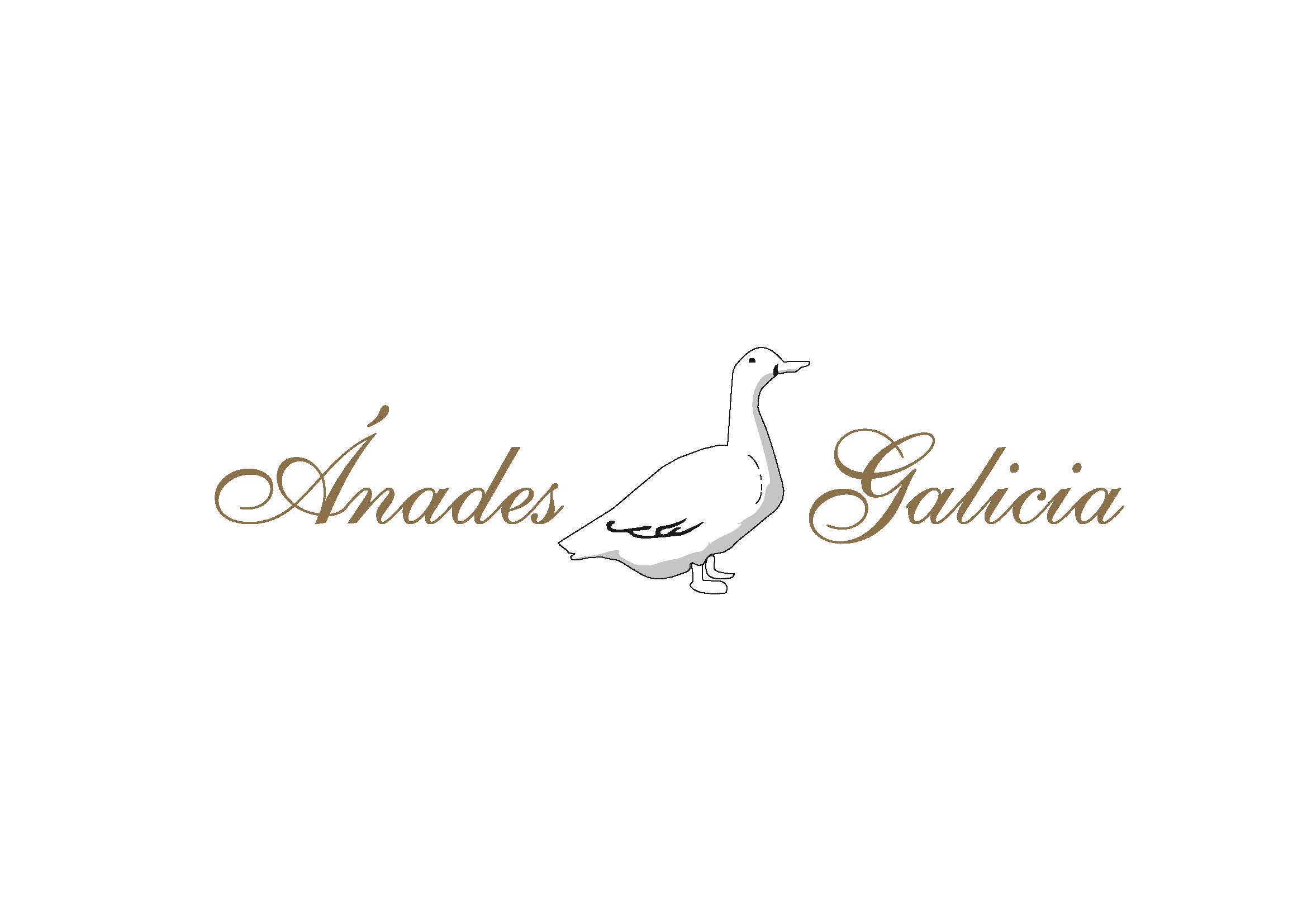 Ánades Galicia
