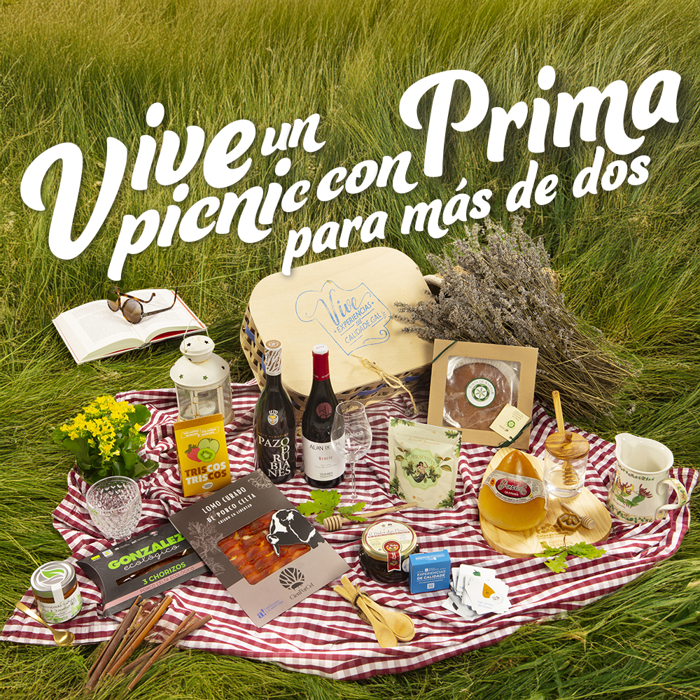 cesta picnic para mais de dous