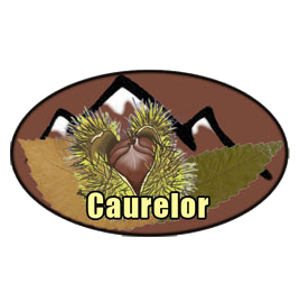 Caurelor