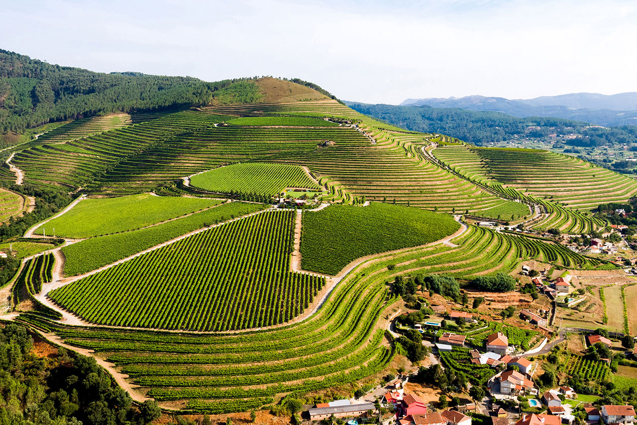 Altos de Torona