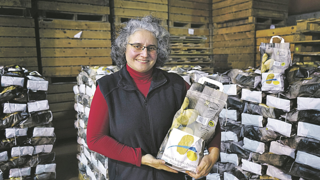 AGROCEBOLA SL. MARIA ANTONIA CALVO CARBALLO