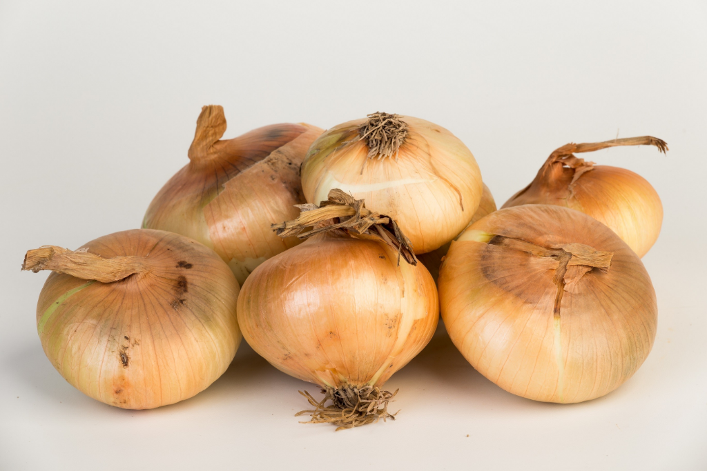 CEBOLLA CHATA GALLEGA CAJA 5 KGS