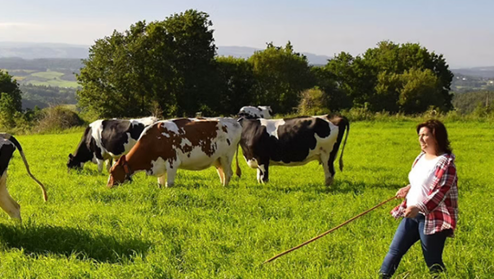 GANADERÍA QUINTIÁN, SC