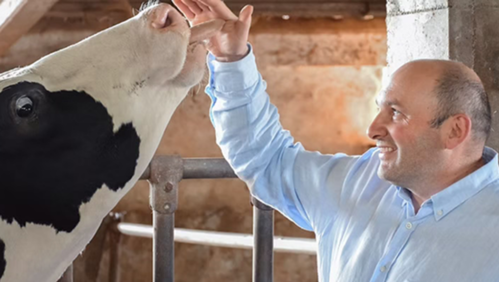 GANDERÍA QUINTIÁN, SC