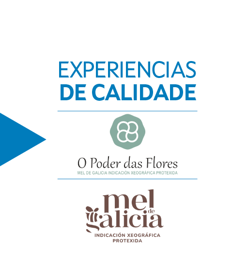 O poder das flores 