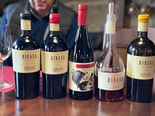 Bodegas Ribada SL