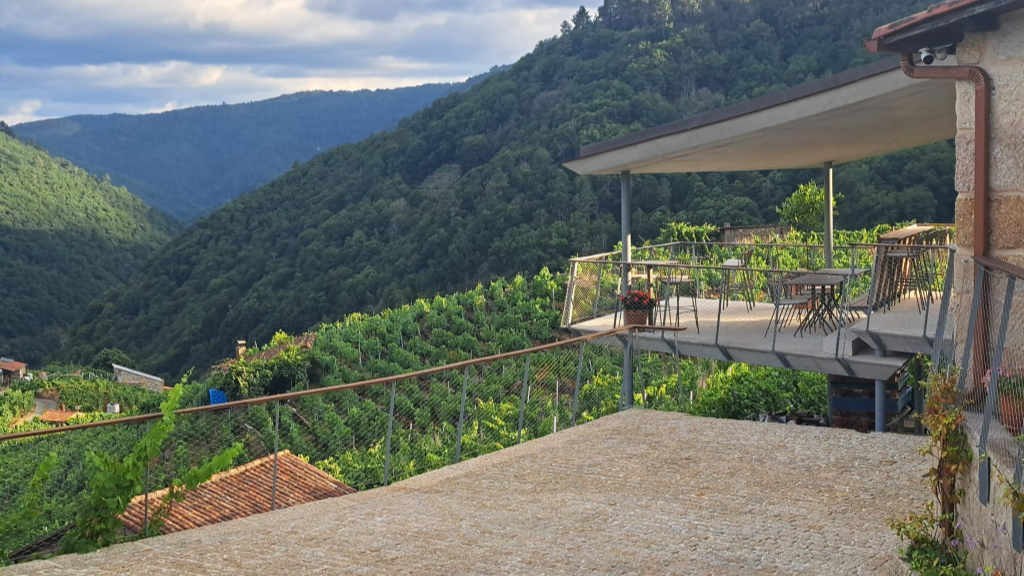 Bodegas Ribada, S.L